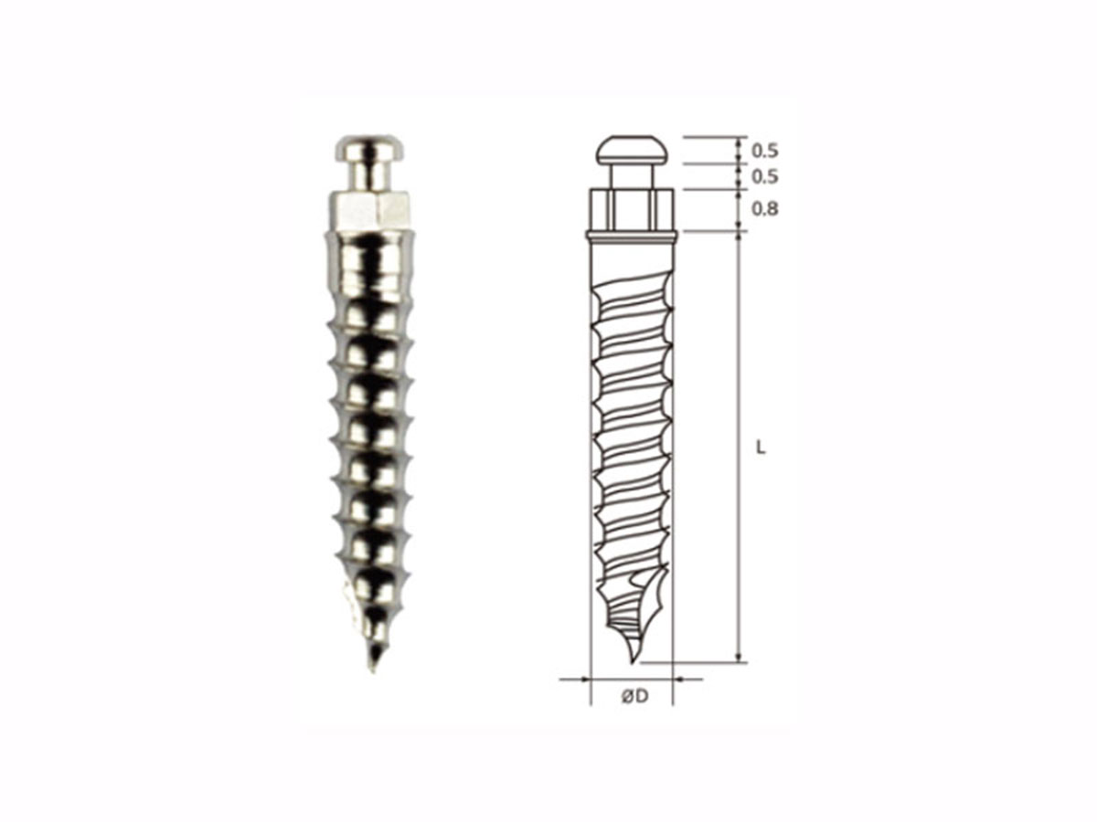 Orthodontic Screw (for Tiny) Ø1,2x6 mm (5)