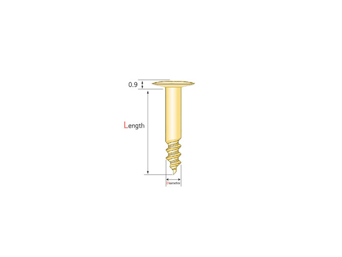 Tenting Screw Ø1,6x10 mm (10)