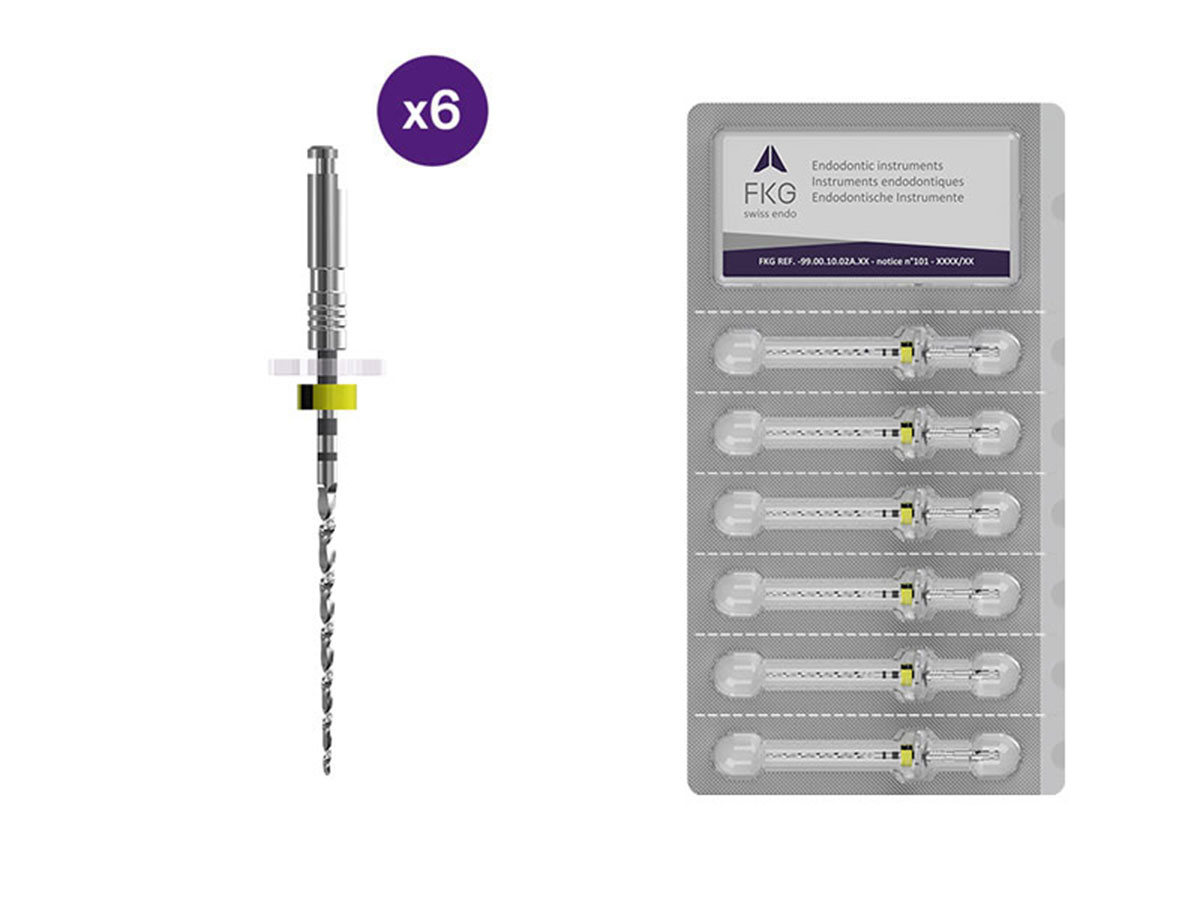 Sterile FKG BioRace BR6 NiTi Feilen 50/.04 - 21 mm (6)