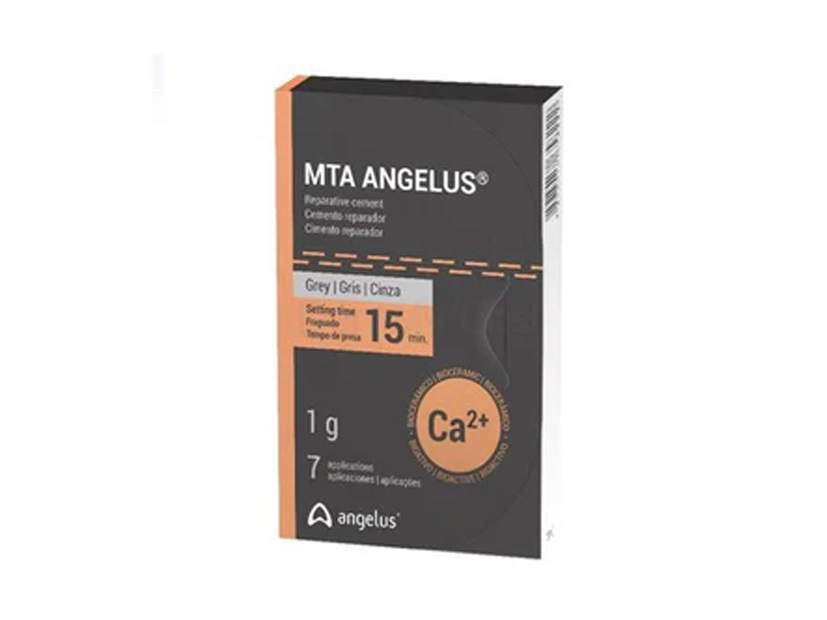 MTA Root Canal Repair Material grau (1 g)