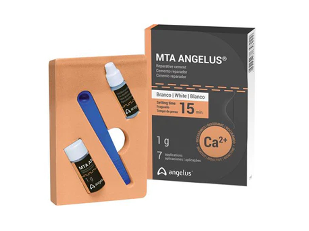 MTA Root Canal Repair Material weiß (1 g)